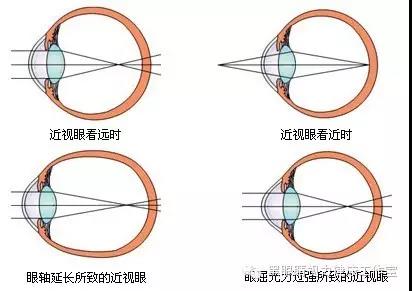 新奥门2024资料1688