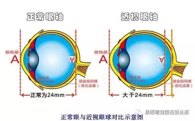 新奥门2024资料1688