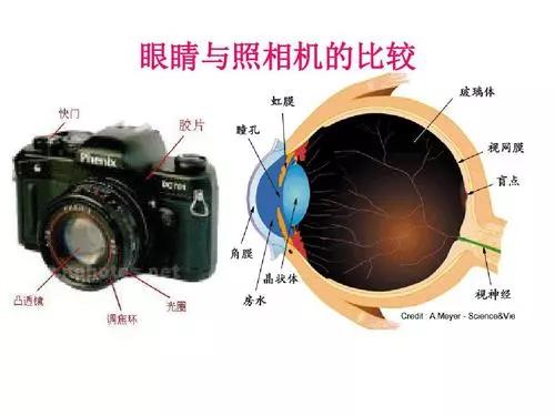 新奥门2024资料1688